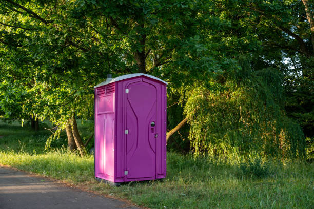 Best Portable bathroom rental  in Shenandoah, LA